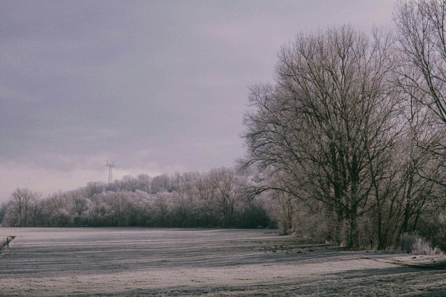Hoe ga jij om met deze donkere tijd van het jaar? Wat beleef je daarbij?